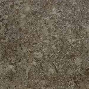Керамический гранит Евро-Керамика Камбрилс коричневый 10 GCR G KM 0111 60*60