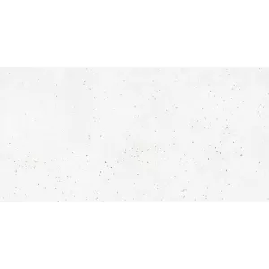 Керамический гранит Grasaro Granella белый G-40/MR 60x60 см