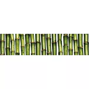 Бордюр Cersanit Jungle C-JU1C021 зеленый 6x25